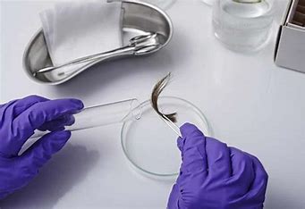 The Purposes Of Getting Your Hair Mineral Analysis Tested